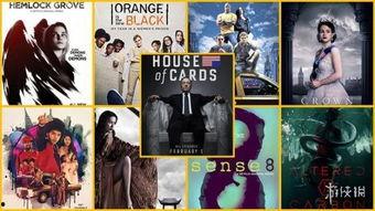 九1美剧网在线观看,海量美剧在线观看,尽享视听盛宴